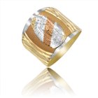 Ladies Virgin Guadalupe Ring in 14K Tri-color Gold - SKU:75-05